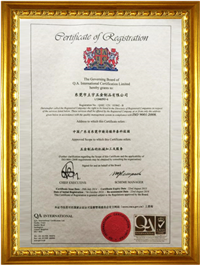 ISO 9001/2008（中文版）